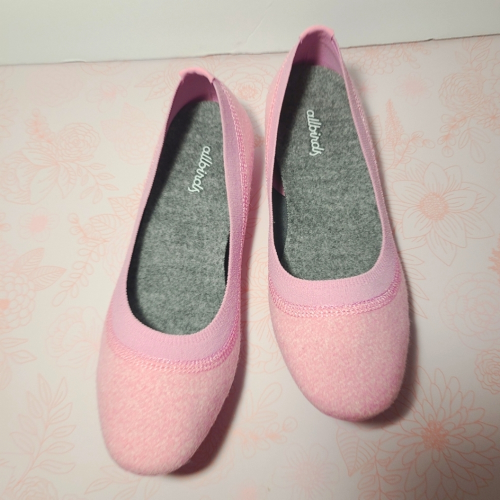 NWOT women's tree/wool breezer allbirds slip on light pink